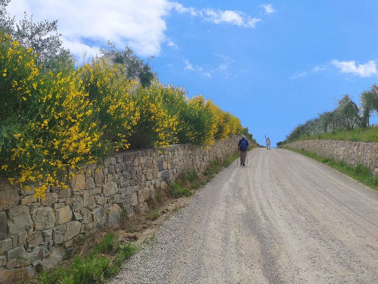 STRADA BIANCA.jpg